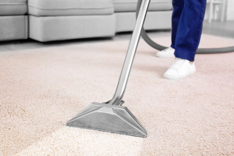 Holiday Carpet Care