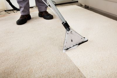 Professional Carpet Cleaner