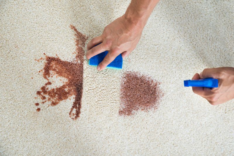 Pet Stain Carpet Repair