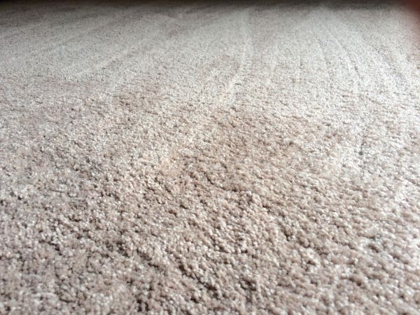 Plush Carpet Installation in Anaheim